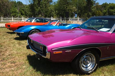 menu-11 A collection of colorful classic cars parked on grass under natural sunlight.